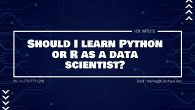 Should I learn Python or R as a data scientist?
