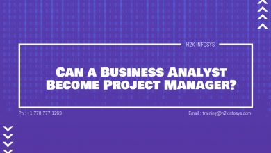 Can a Business Analyst Become Project Manager