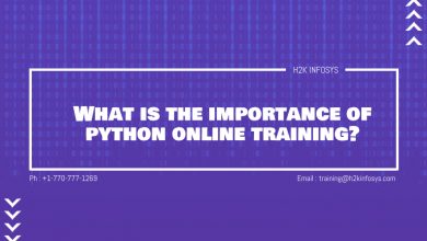 What is the importance of python online training