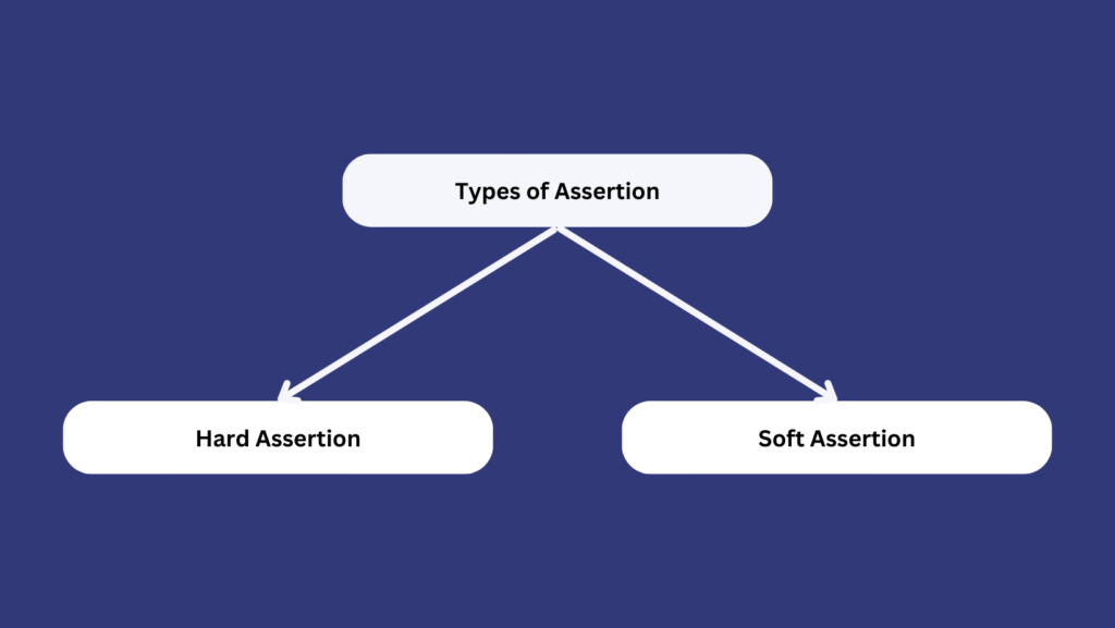 Assertion Testing