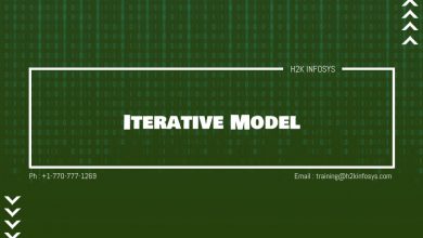 Iterative Model