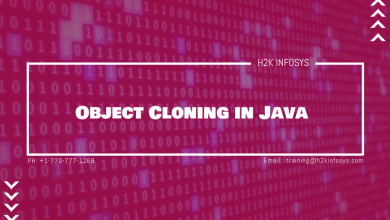 Object Cloning in Java