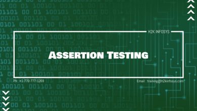 Assertion Testing