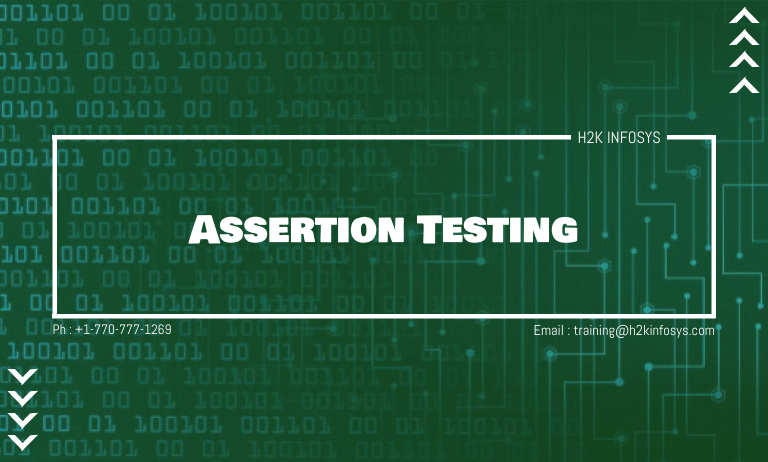 Assertion Testing