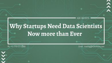 Why Startups Need Data Sciecntist Now more than Ever