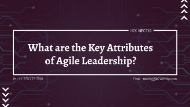 What are the Key Attributes of Agile Leadership?