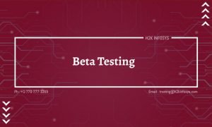 Beta Testing