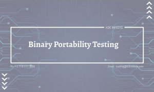 Binary Portability Testing