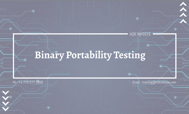 Binary Portability Testing