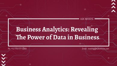 Business Analytics: Revealing the Power of Data in Business