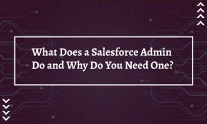 What Does a Salesforce Admin Do and Why Do You Need One?