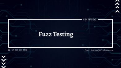Fuzz Testing