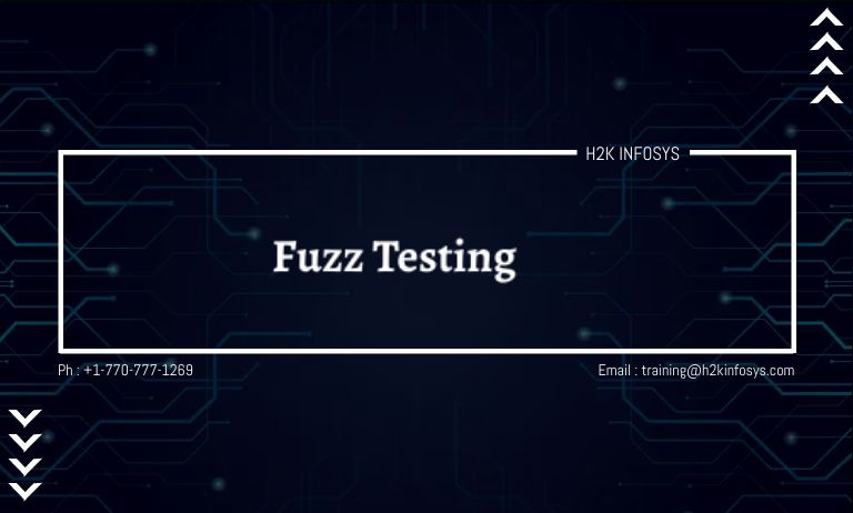 Fuzz Testing Fuzz Testing