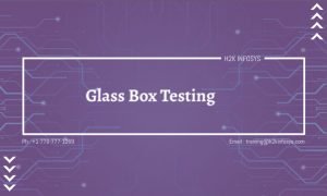 Glass Box Testing