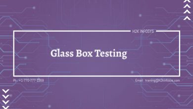 Glass Box Testing