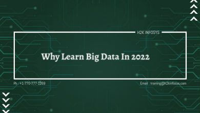 Why Study Big Data In 2022