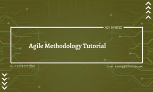 Agile Methodology