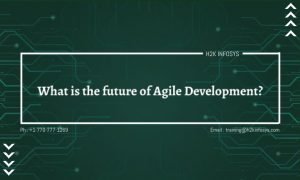 What is the future of Agile Development?