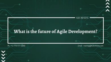 What is the future of Agile Development?