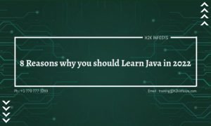 8 Reasons why you should Learn Java in 2022