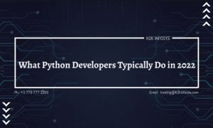 What Python Developers Typically Do in 2022