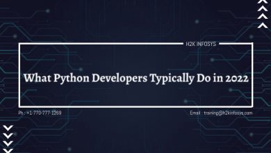 What Python Developers Typically Do in 2022