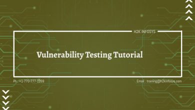 Vulnerability Testing