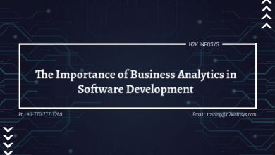 The Importance of Business Analytics in Software Development