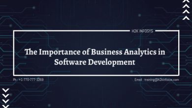 The Importance of Business Analytics in Software Development