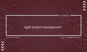 Agile Project Management