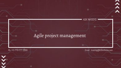 Agile Project Management