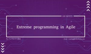 Extreme Programming in Agile