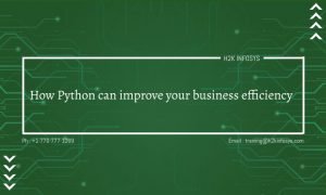 How Python can Improve your Business Efficiency