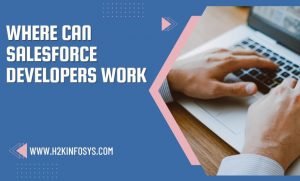 Where can Salesforce Developers Work