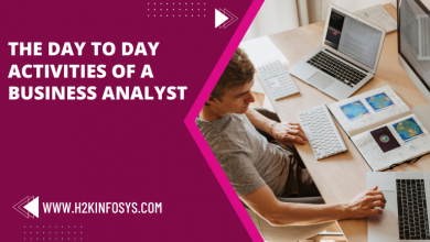 The Day to Day activities of a Business Analyst