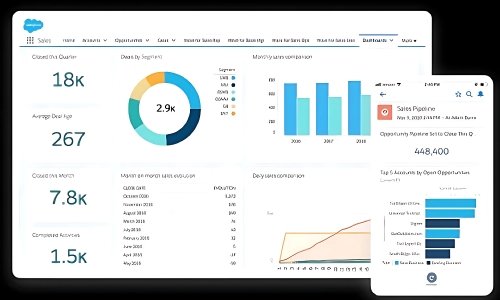 The Importance of Salesforce CRM for online businesses The Importance of Salesforce CRM for online businesses
