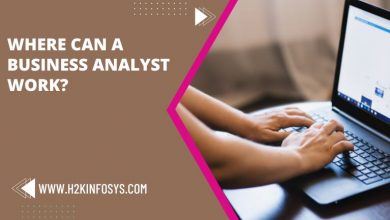 Where can a business analyst work?