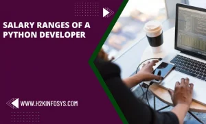 Python Developer