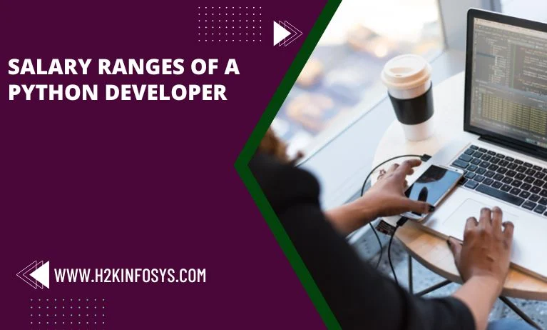 Python Developer