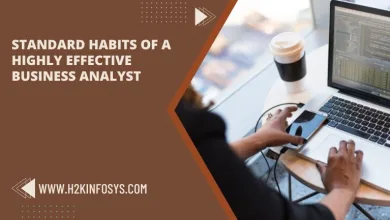 Standard Habits of a Highly Effective Business Analyst