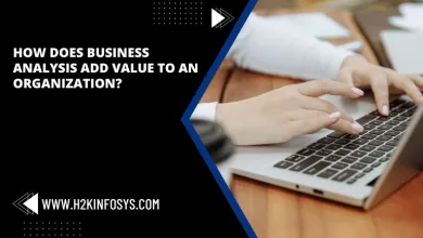 How does Business Analysis add Value to an Organization?