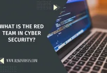 What is the Red Team in Cyber security?