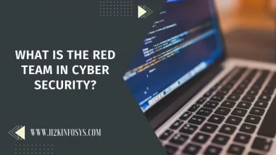 What is the Red Team in Cyber security?