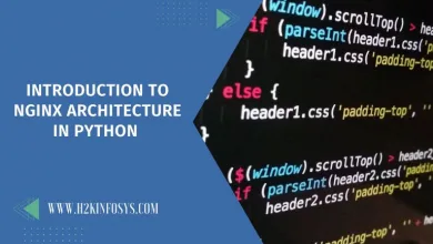 Introduction to Nginx Architecture in Python 