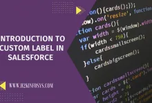 Introduction to Custom Label in Salesforce 