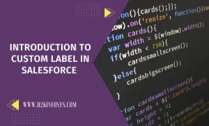 Introduction to Custom Label in Salesforce 