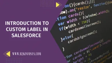 Introduction to Custom Label in Salesforce 