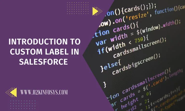 Introduction to Custom Label in Salesforce Introduction to Custom Label in Salesforce