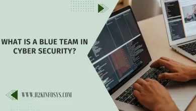 What is a Blue Team in Cyber security?