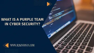 What is a Purple Team in Cyber security